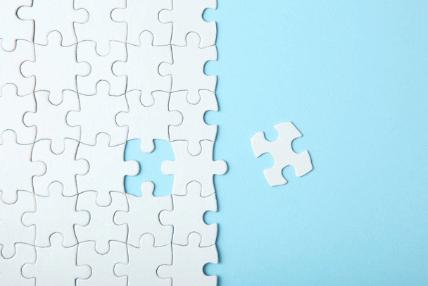 19 نکته و 5 مدل از بهترین قلاده برای گربه: انواع و راهنمای خرید